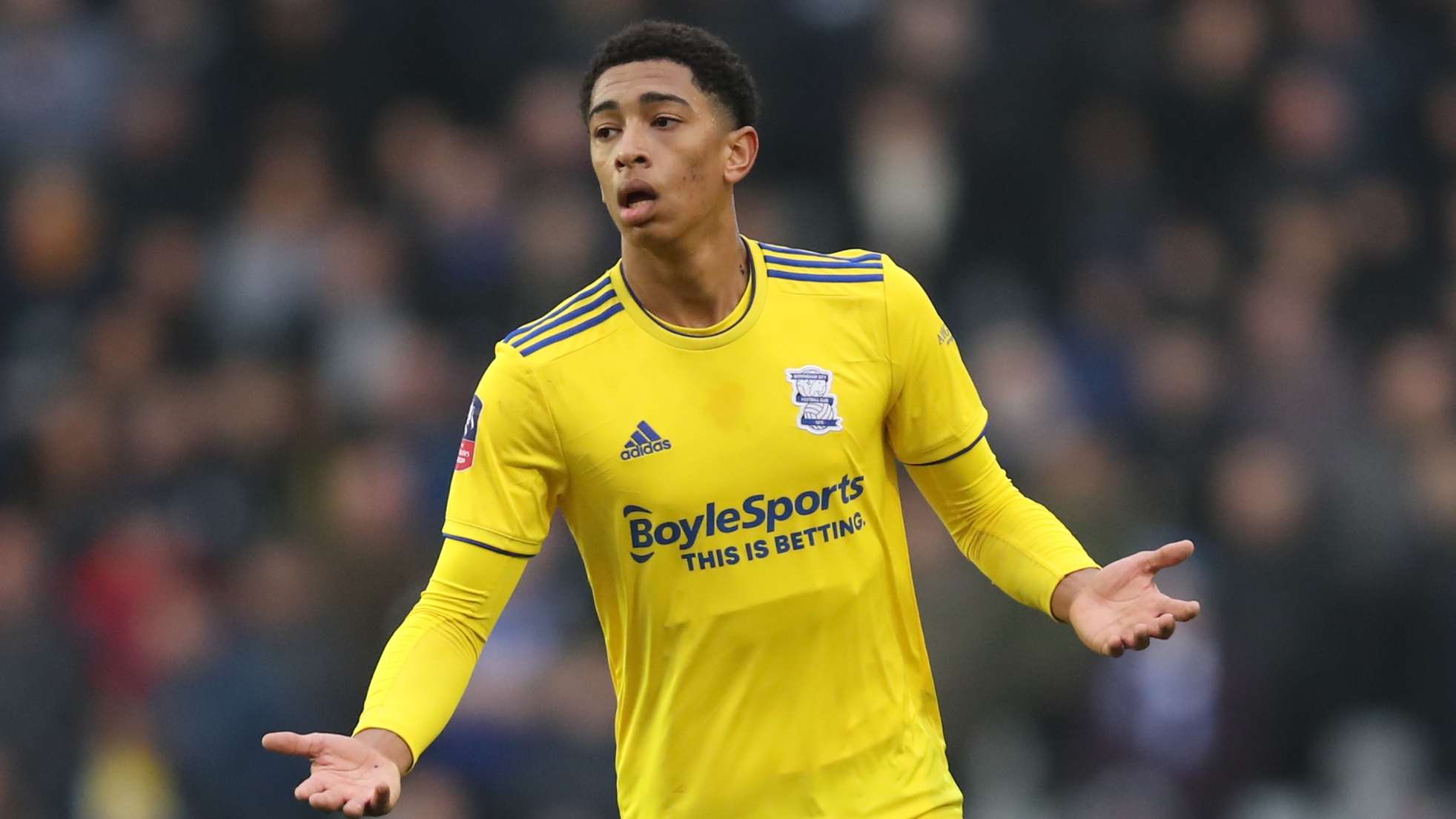 僅鞏固了曼 僅鞏固了曼